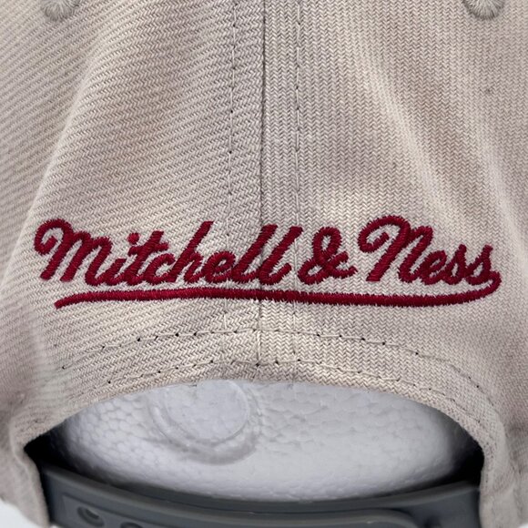 Mitchell & Ness Chicago Bulls 30th Anniversary Cap Hat Adjustable Snapback 1996 - Picture 6 of 16